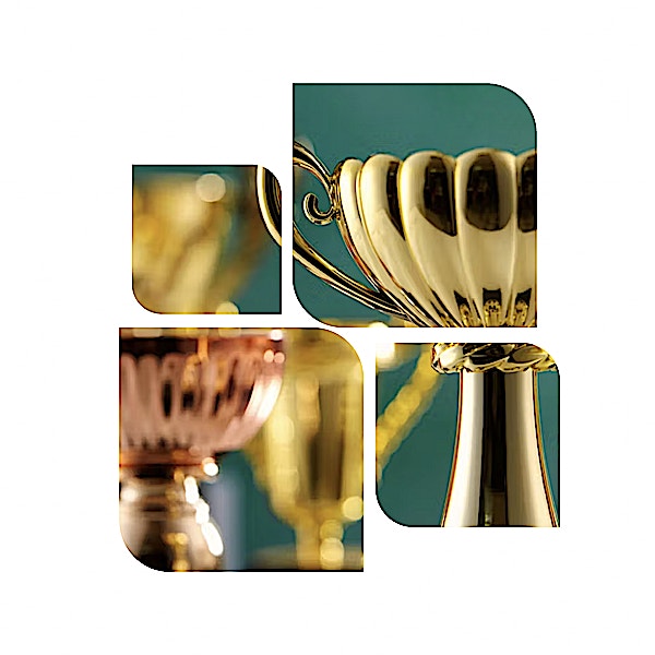 Award Winning Estate Agent